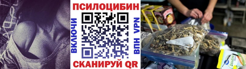 Псилоцибиновые грибы GOLDEN TEACHER  цена   Усть-Лабинск 